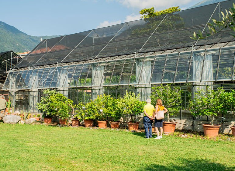 Orto Botanico Di Padova, Italy